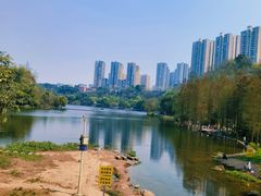 -重庆彩云湖湿地公园