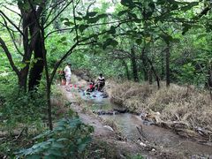 -白水寺森林公园