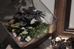 -周忆刺青原创设计定制