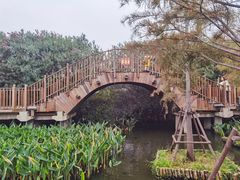 -五缘湾湿地公园