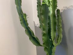 -范儿·嫂子烤肉·精致炭火烤肉(长治路店)