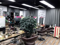大厅-镁连社·美联社