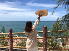 -广东惠东海龟国家级自然保护区