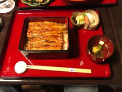 -料亭菊水楼