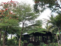 -深圳国际园林花卉博览园