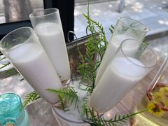 -探窝·竹笙椰子鸡(杨箕店)