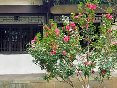 -墨池公园