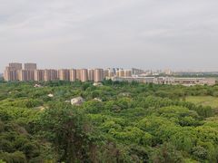 -毗山遗址-慈云寺