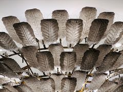 -南京维景国际大酒店(南京博物院店)