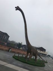 -恐龙探索乐园(磁器口店)