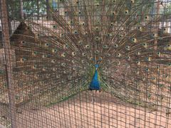 -意大利农场度假村