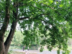 -杭州双溪漂流景区