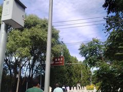 -颐和园