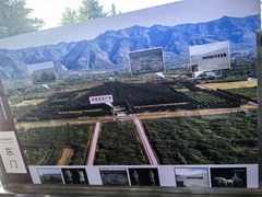 -秦始皇帝陵博物院-丽山园