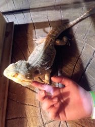 -酷嗒动物文化乐园(cutezoo西溪乐天城店)