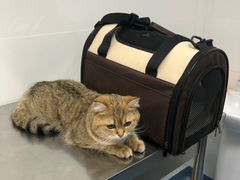 -北京赛佳动物医院