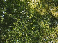 -吴淞炮台湾湿地森林公园烧烤区