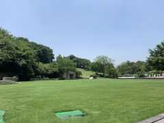 -成都保利公园皇冠假日酒店(熊猫基地店)