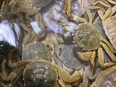 -大锅强·蒸海鲜青岛菜(吾悦广场店)