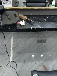 -青丝锦美发沙龙