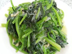 肉炒菠菜粉丝-九龙餐厅(大沽路店)