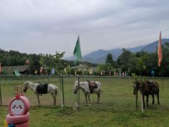 -窦圌山风景区