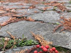 -中南财经政法大学(首义校区)