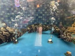 -宝燕壹号(徐汇店)