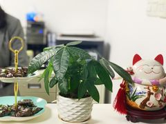 -绿房子心理咨询
