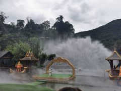 -西双版纳原始森林公园