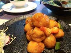 -点都德·毕德寮