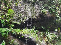 -云南屏边大围山国家公园