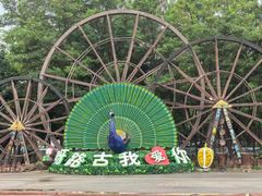 -呀路古热带植物园