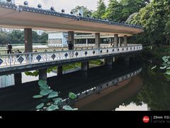 -荔湾湖公园