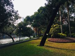 -晓港公园