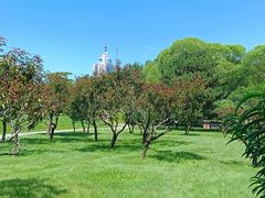 -莲花池公园