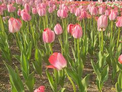 -长春公园(普阳街道)