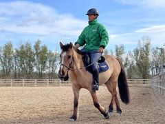 -北京群众马术培训基地