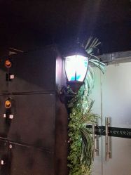 -藤野造型·专业烫染店