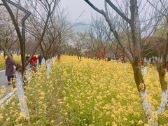 -西北湖绿化广场