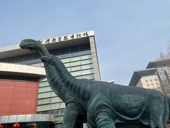-河南自然博物馆