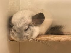 -龙猫仔乐园(惠福东路店)