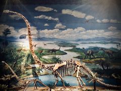 -自贡恐龙博物馆