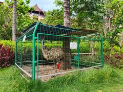 -西双版纳融创皇冠假日度假酒店