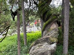 -东天目山风景区