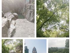 -虎丘山风景名胜区