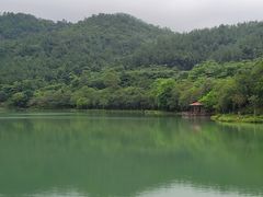 -广州白江湖森林公园