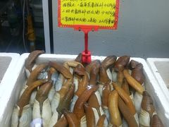 -蚝专家(北滘店)