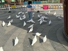 -南宫五洲植物乐园