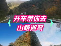 -秦岭风景区